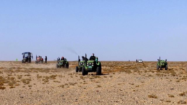 疫情不误“添绿”：中国北方着力推进国土绿化