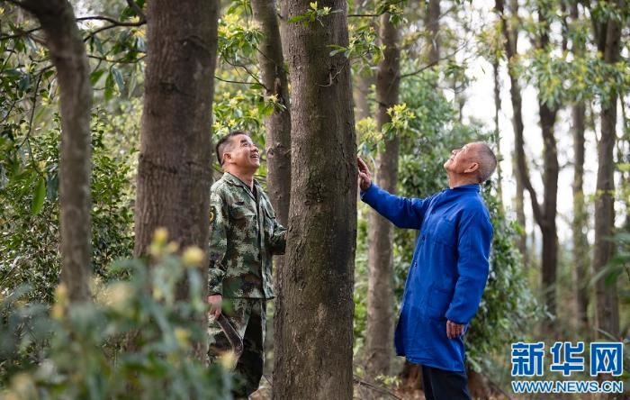 [最美林业故事]父与子的传承：六十余载守望绿水青山