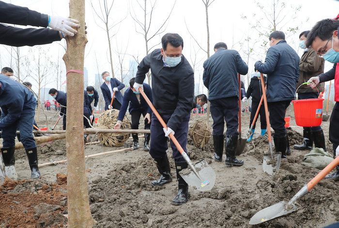 浙江省领导带头参加义务植树劳动
