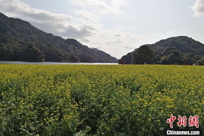 珠三角国家森林城市群崛起:挡不住的春暖花开 珠三角国家森林城市群崛起:挡不住的春暖花开