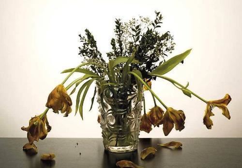 养花总能养死，几个养花问题要注意，不然真的就是“养花杀手”