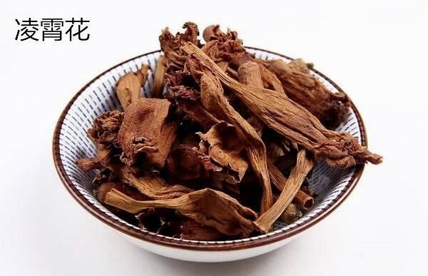 凌霄翠叶团团如盖，花大色艳，繁花艳彩