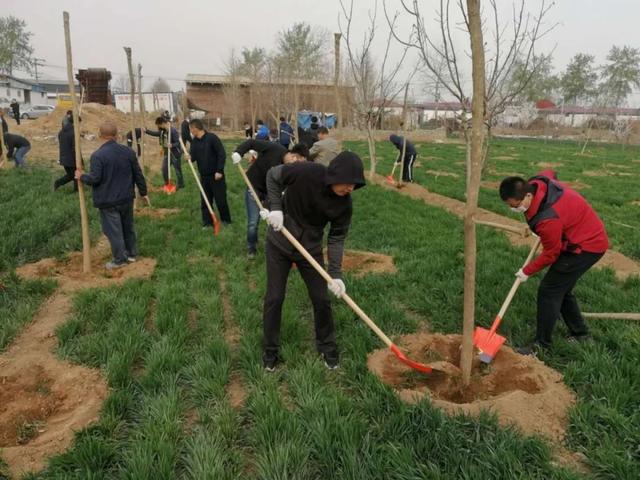 绿化进行时|最是一年春光好 植树造林正当时