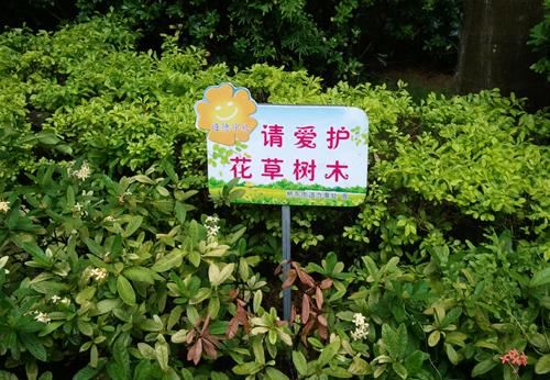 园林绿化规划不到位?做到这3点,可大大提高管理水平 园林绿化规划不到位?做到这3点,可大大提高管理水平