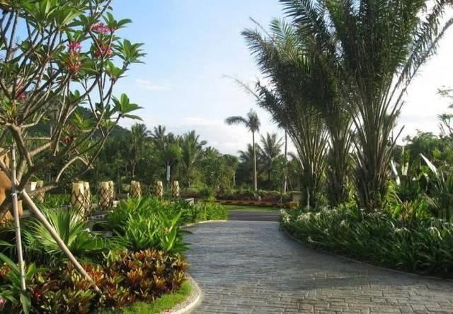 园林绿化规划不到位?做到这3点,可大大提高管理水平 园林绿化规划不到位?做到这3点,可大大提高管理水平