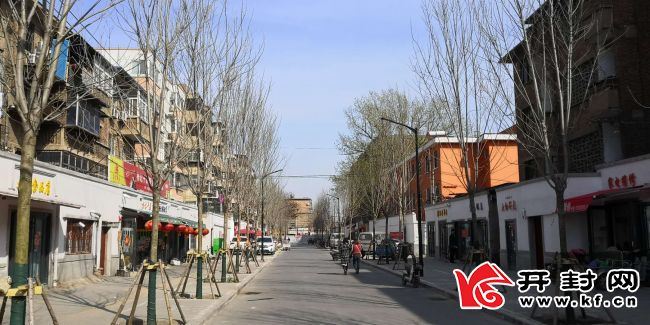 连续奋战15天提前完成绿化提升 开封38条背街旧貌换新颜