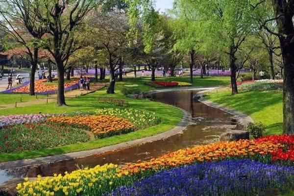 园林绿化规划不到位?做到这3点,可大大提高管理水平 园林绿化规划不到位?做到这3点,可大大提高管理水平