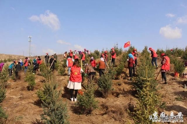 【造林绿化】莲花镇：植树千顷 绿遍山原