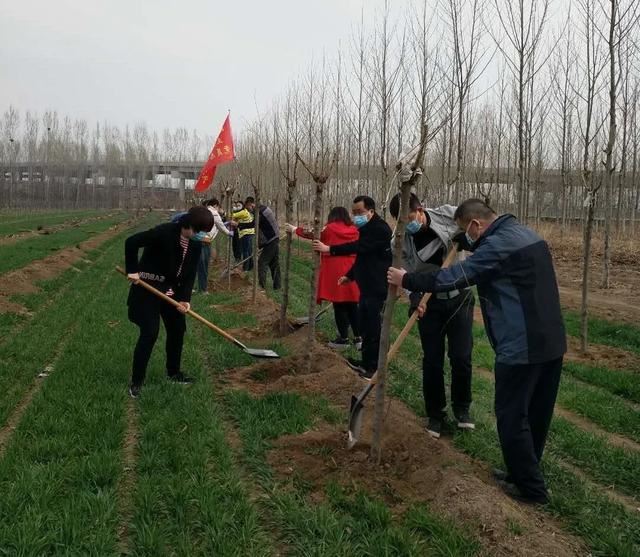绿化进行时|最是一年春光好 植树造林正当时