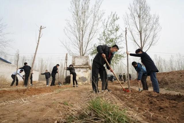 绿化进行时|最是一年春光好 植树造林正当时