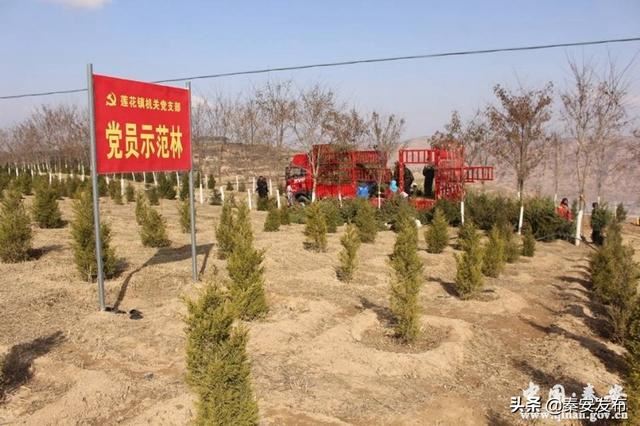 【造林绿化】莲花镇：植树千顷 绿遍山原