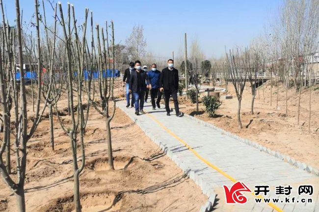 花红树绿春来到 ——杏花营镇国土绿化见闻