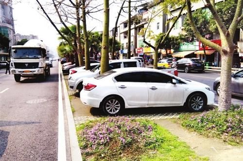 园林绿化规划不到位?做到这3点,可大大提高管理水平 园林绿化规划不到位?做到这3点,可大大提高管理水平