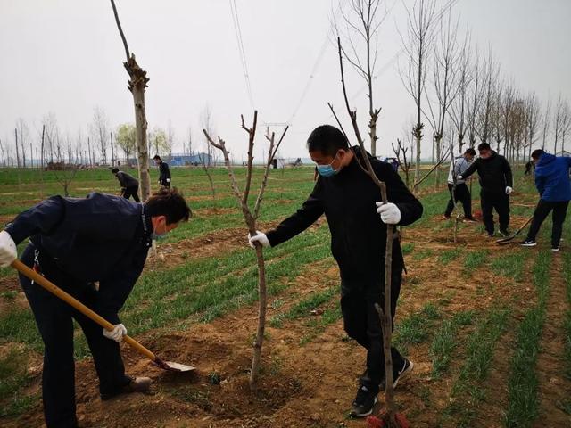 绿化进行时|最是一年春光好 植树造林正当时