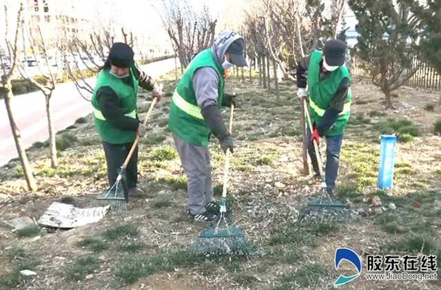 莱山区园林建设养护中心做好春季绿化植物养护 莱山区园林建设养护中心做好春季绿化植物养护