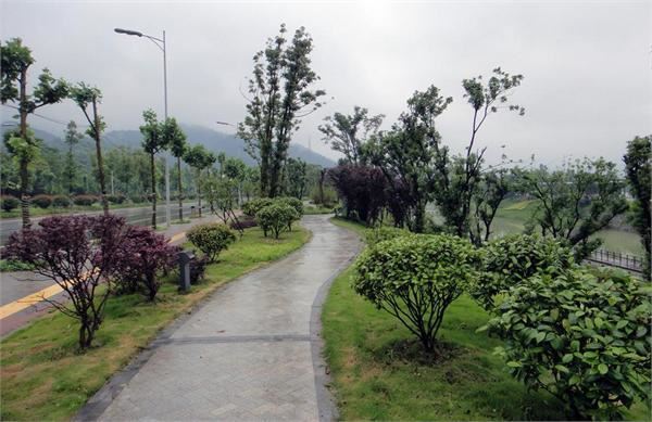 园林绿化规划不到位?做到这3点,可大大提高管理水平 园林绿化规划不到位?做到这3点,可大大提高管理水平