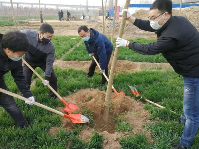 绿化进行时|最是一年春光好 植树造林正当时