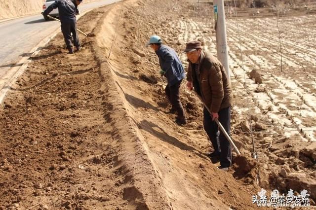 【造林绿化】莲花镇：植树千顷 绿遍山原