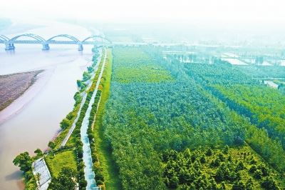 生态大廊道　黄河大文章