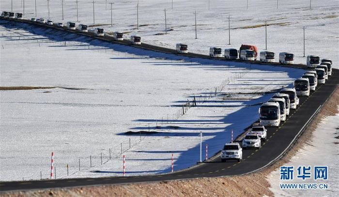 跨越半个世纪的生命迁徙