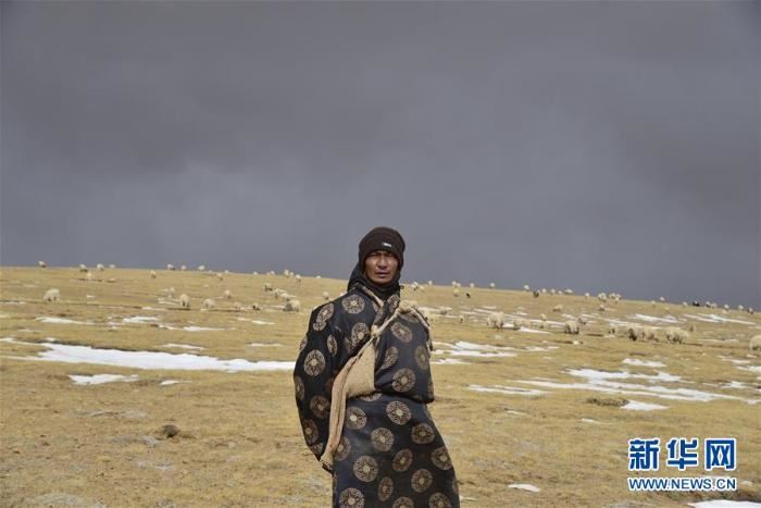 跨越半个世纪的生命迁徙