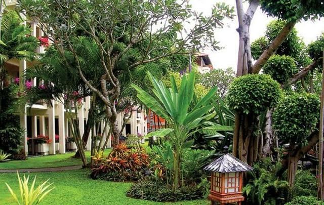 庭院种什么树吉利又好看？