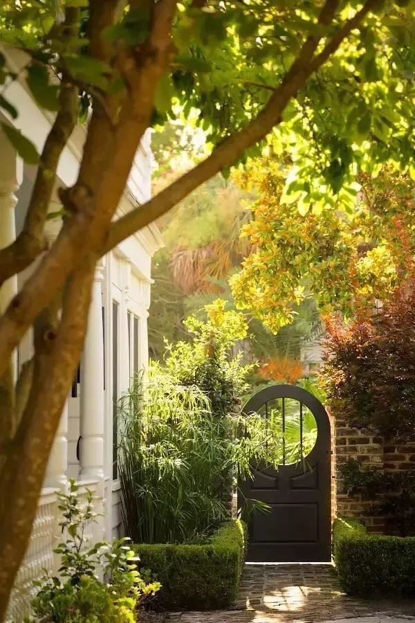 庭院种什么树吉利又好看？