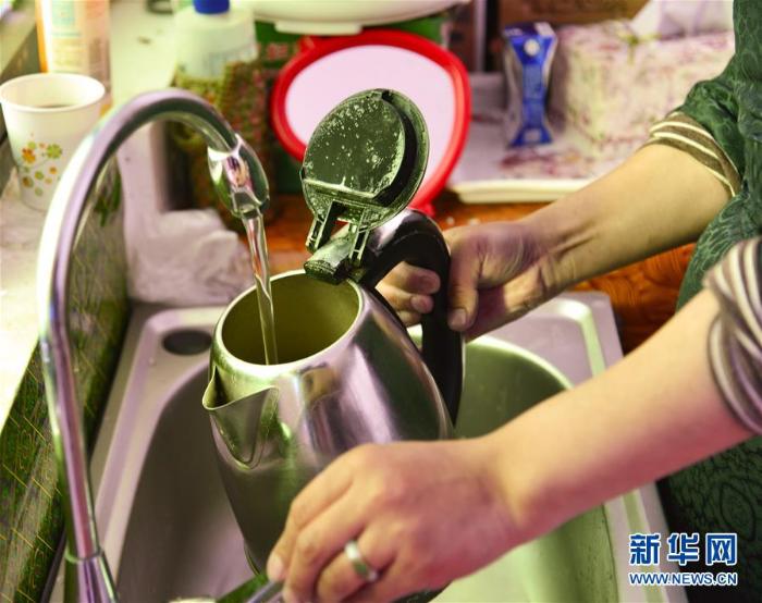 跨越半个世纪的生命迁徙