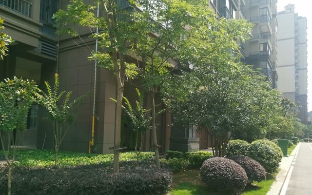 住宅小区绿化管理制度（干货）