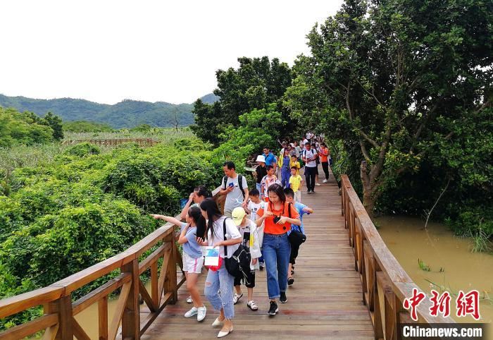 广东森林蓄积量达5.79亿立方米　将系统推进生态修复