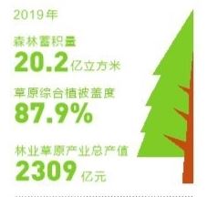 云南省高质量推进林业和草原工作 去年完成营造林715万亩 云南省高质量推进林业和草原工作 去年完成营造林715万亩