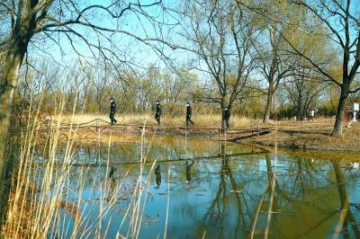 [最美林业故事]森林守护者