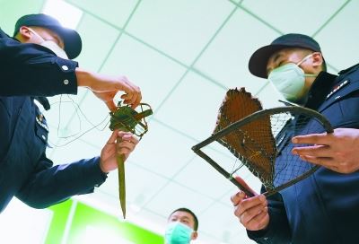 [最美林业故事]森林守护者