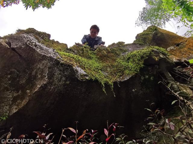 广西来宾：石头缝里种“黄金”脱贫致富领路人