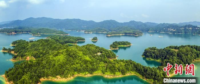 广东森林蓄积量达5.79亿立方米　将系统推进生态修复