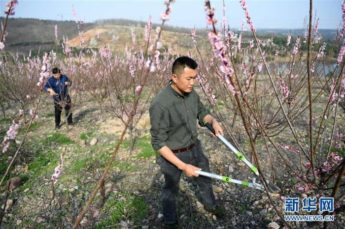 [最美林业故事]荒山变青山　植树父子档