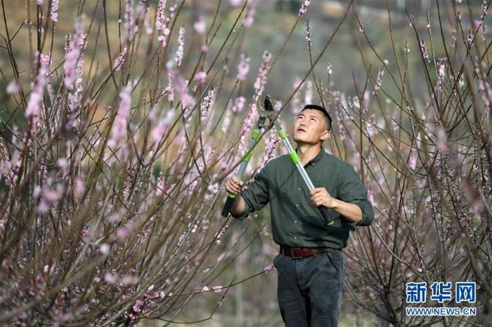 [最美林业故事]荒山变青山　植树父子档
