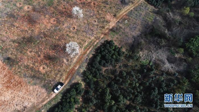 [最美林业故事]荒山变青山　植树父子档