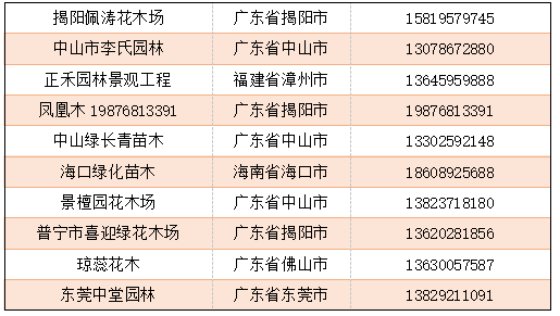 2020年上半年秋枫绿化苗木最新市场参考价格