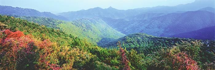 山西省林草局让山更青水更绿 山西省林草局让山更青水更绿