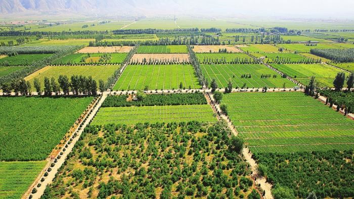 山西省林草局让山更青水更绿 山西省林草局让山更青水更绿