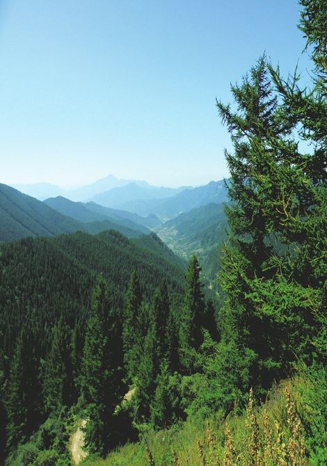 山西省林草局让山更青水更绿 山西省林草局让山更青水更绿