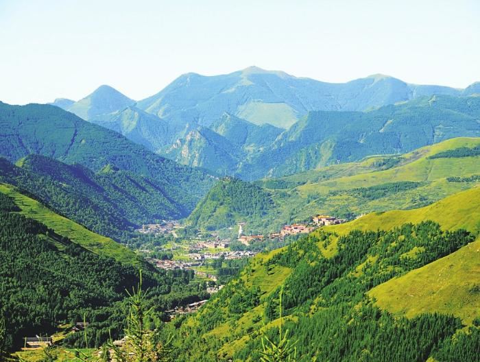 山西省林草局让山更青水更绿 山西省林草局让山更青水更绿