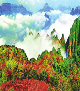 山西省林草局让山更青水更绿 山西省林草局让山更青水更绿