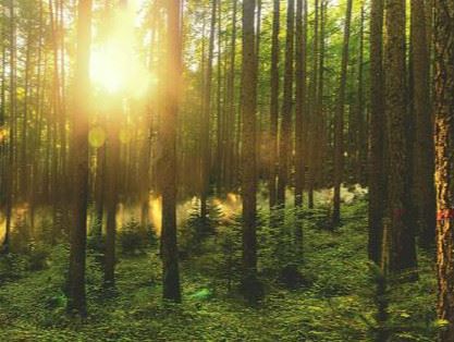 山西省林草局让山更青水更绿 山西省林草局让山更青水更绿