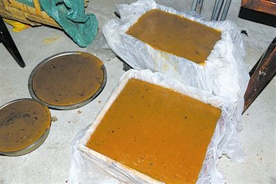 [树木传奇]栎树：养人养眼的多宝树