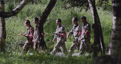 [最美林业故事]祁连山深处的最美风景