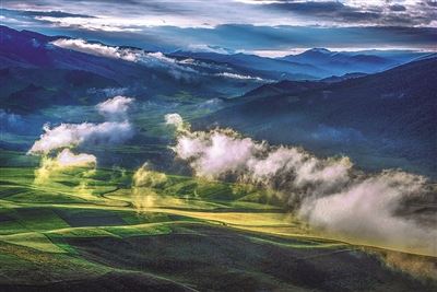 [最美林业故事]祁连山深处的最美风景