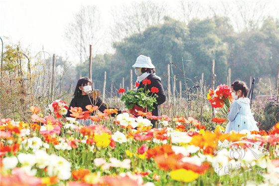 反脆弱？化危为机？看花园中心如何应对疫情 