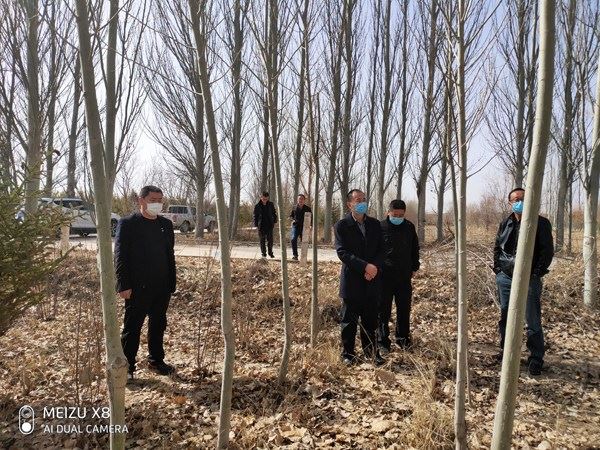 甘肃省张掖市多措并举全力做好疫情防控期间林木种苗工作